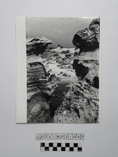 黃則修攝野柳地景藏品圖，第1張