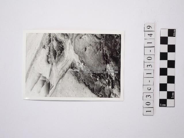 野柳地形藏品圖，第1張