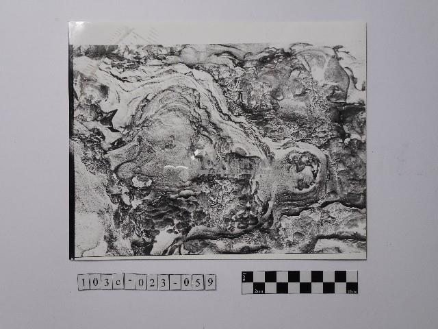 黃則修攝野柳地景藏品圖，第1張