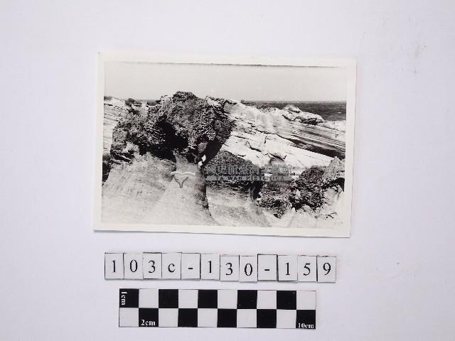 野柳地形藏品圖，第1張