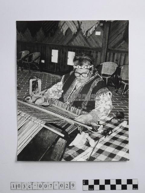 黃則修攝高山紡娘藏品圖，第1張