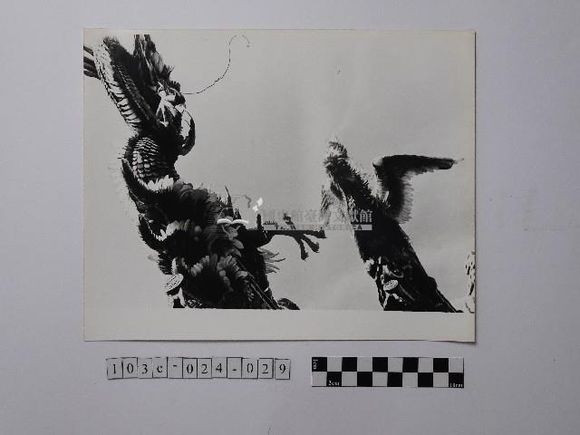 黃則修攝屋頂剪黏特寫照片藏品圖，第1張