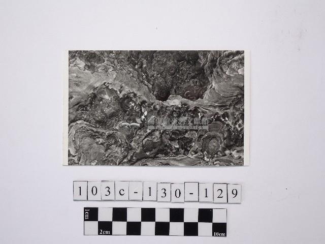 野柳地形藏品圖，第1張