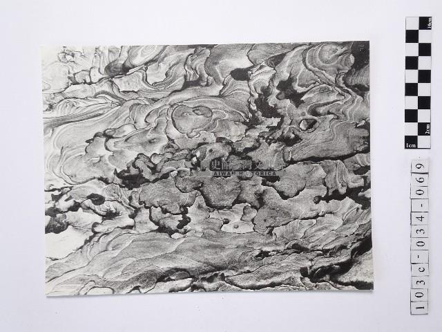 黃則修攝野柳地景藏品圖，第1張