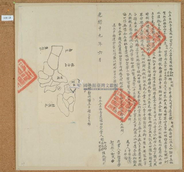 光緒十九年林如式等三人立出杜賣盡根田契藏品圖，第1張