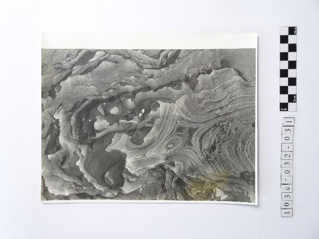 黃則修攝野柳地景藏品圖，第1張