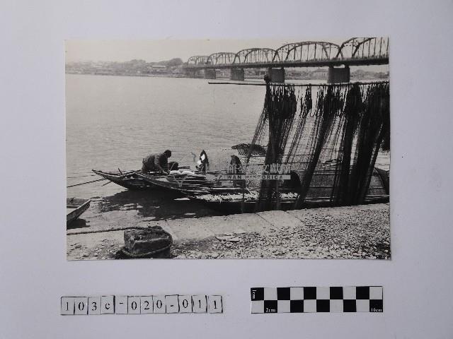 黃則修攝晒網藏品圖，第1張