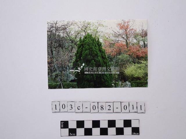 黃則修攝樹林藏品圖，第1張