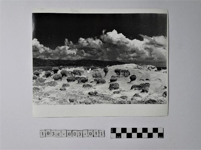 黃則修攝野柳地景蕈狀岩藏品圖，第1張