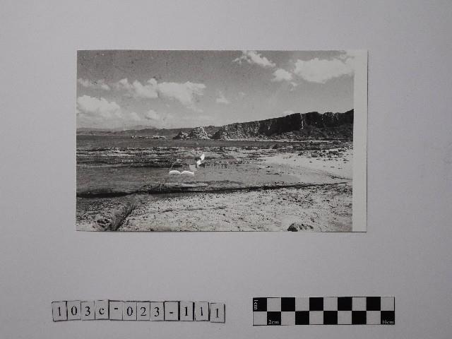 黃則修攝野柳地景藏品圖，第1張