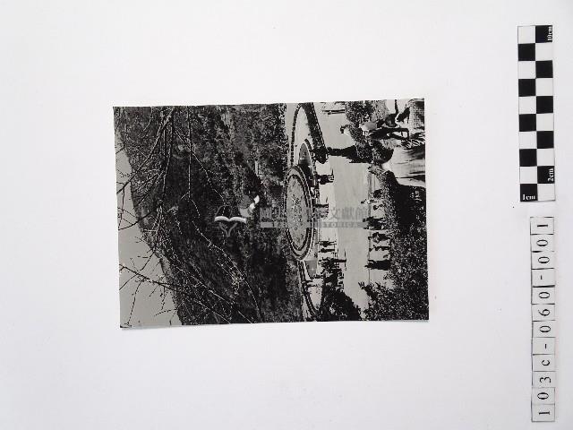 黃則修攝陽明山花鐘藏品圖，第1張