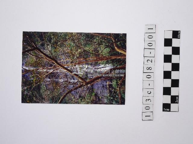 黃則修攝瀑布1藏品圖，第1張