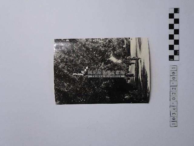 黃則修攝街景藏品圖，第1張