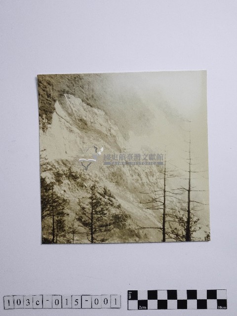 黃則修攝巴士藏品圖，第1張