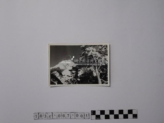 黃則修攝合歡主峰的冰貌藏品圖，第1張