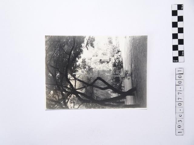 黃則修攝觀世音立像1藏品圖，第1張