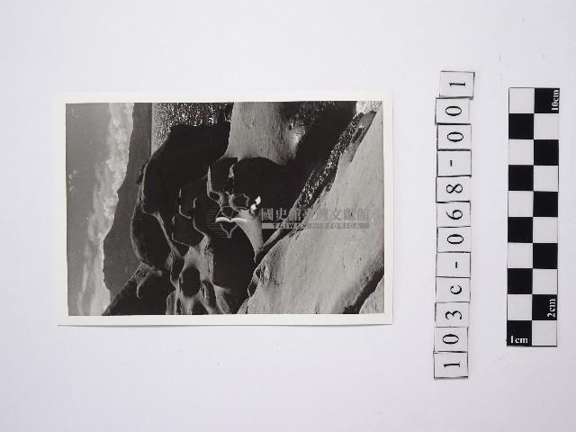 黃則修攝野柳地景燭臺石1藏品圖，第1張