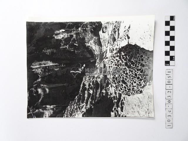 黃則修攝野柳地景蜂窩岩藏品圖，第1張