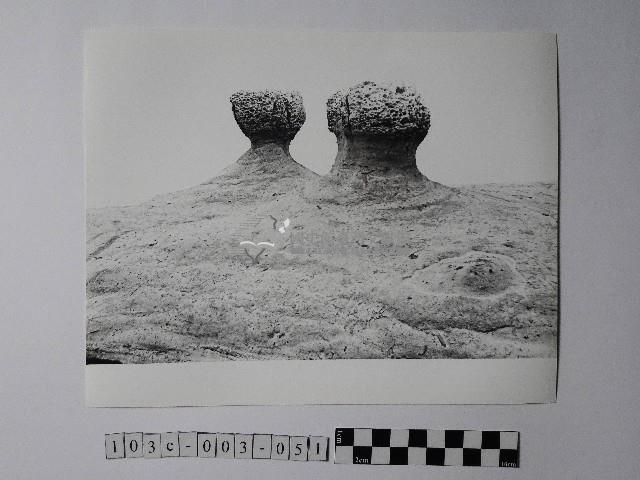 黃則修攝野柳地景蕈狀岩藏品圖，第1張