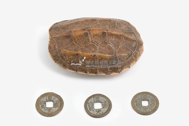 卜卦龜殼一組藏品圖，第1張