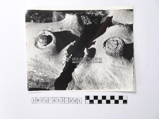 黃則修攝野柳地景藏品圖，第1張