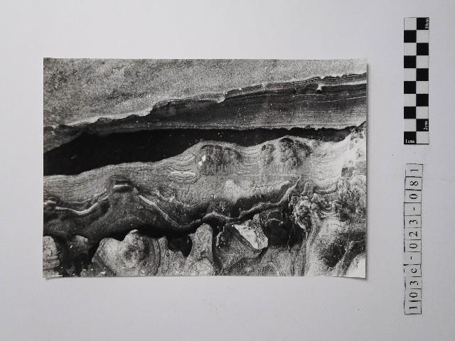 黃則修攝野柳地景藏品圖，第1張