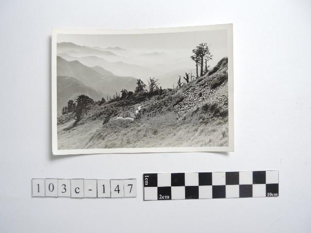 高山清境藏品圖，第1張