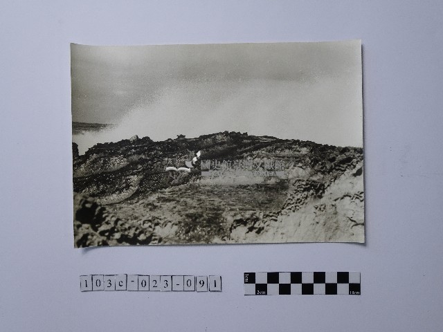 黃則修攝野柳地景藏品圖，第1張