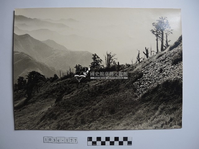 高山風情藏品圖，第1張