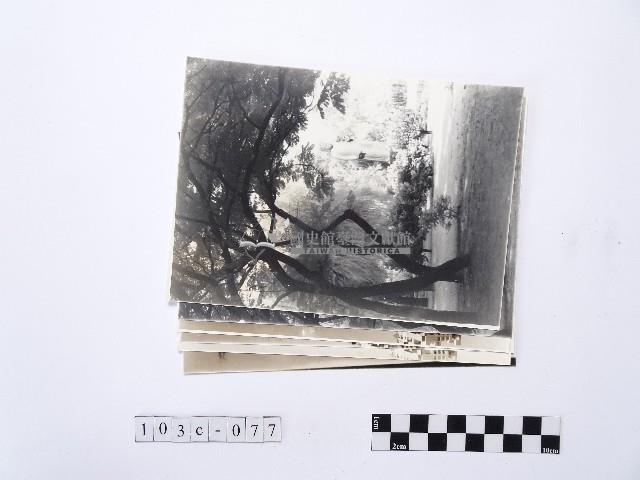 黃則修攝河畔風景系列照片藏品圖，第1張