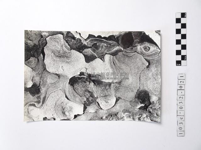 黃則修攝野柳地景藏品圖，第1張