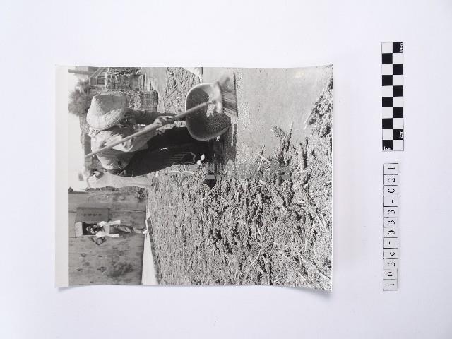 黃則修攝戴著斗笠的婦人藏品圖，第1張