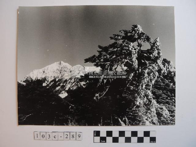 高山風情藏品圖，第1張