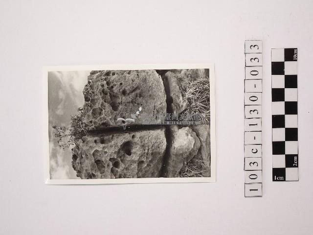 黃則修攝野柳地景藏品圖，第1張