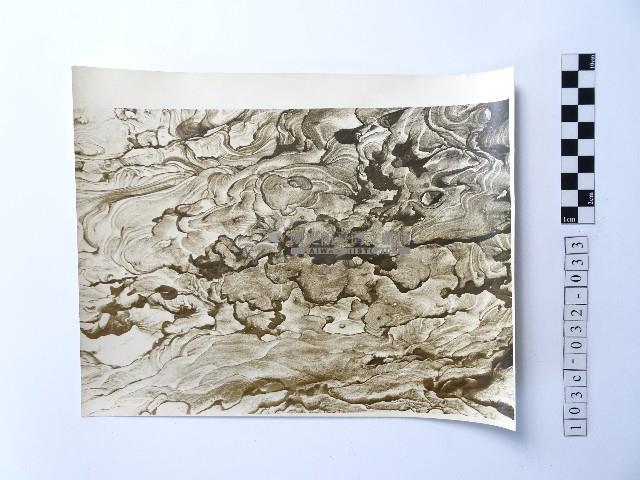 黃則修攝野柳地景藏品圖，第1張