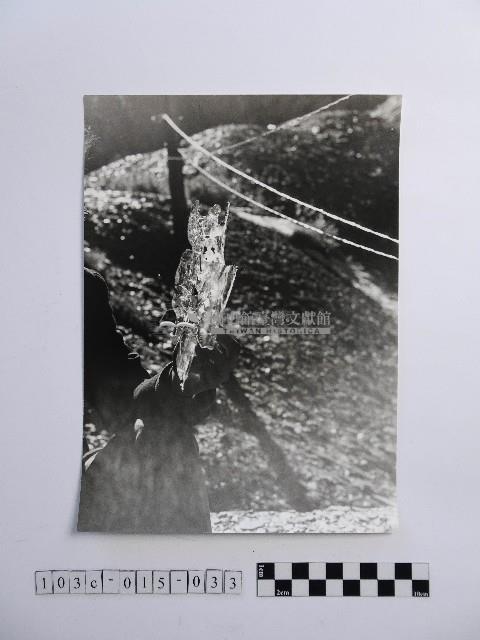 黃則修攝持融冰的手藏品圖，第1張