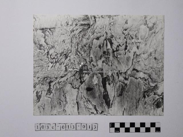 黃則修攝野柳地景風化紋藏品圖，第1張