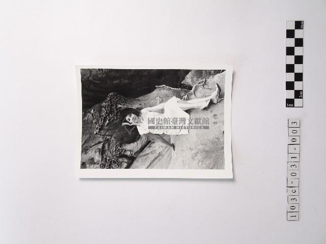 黃則修攝野柳的稀客－凌波藏品圖，第1張