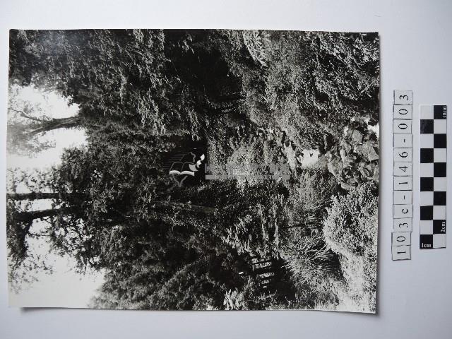 曾文溪源頭藏品圖，第1張