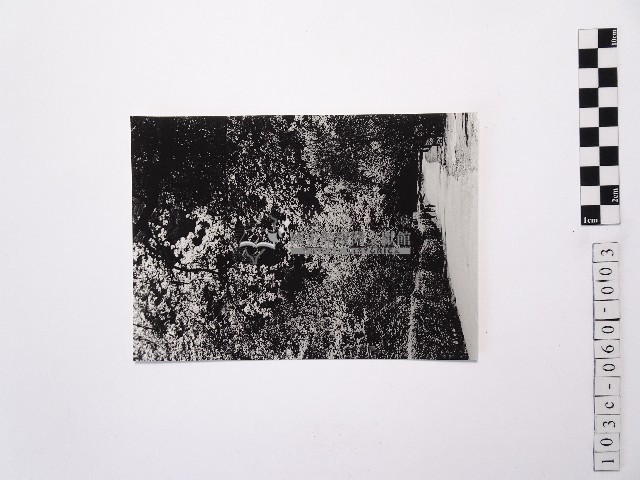 黃則修攝陽明山風景1藏品圖，第1張