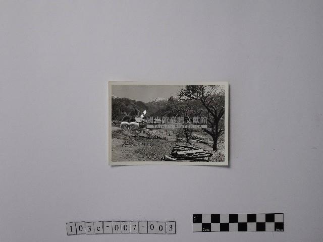 黃則修攝初貌乍現的見晴農場藏品圖，第1張