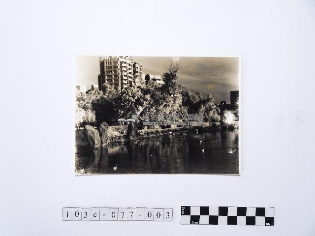 黃則修攝河畔風景1藏品圖，第1張