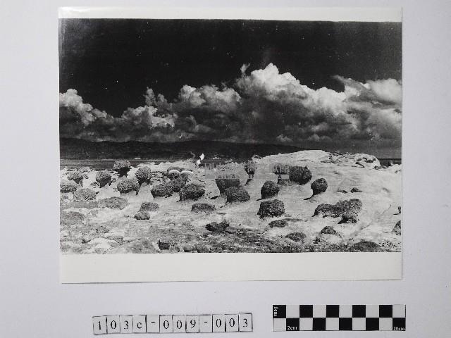 黃則修攝野柳地景藏品圖，第1張