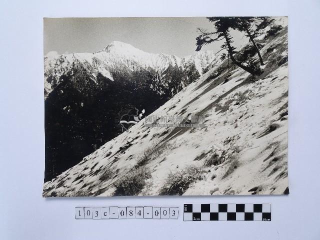 黃則修攝合歡雪坡與奇萊主峰藏品圖，第1張