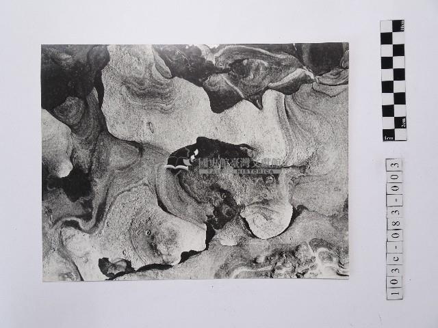 黃則修攝野柳地景風化紋3藏品圖，第1張