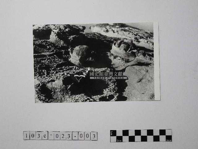 黃則修攝野柳地景藏品圖，第1張