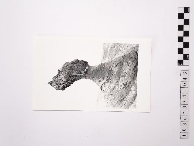 黃則修攝野柳地景女王頭藏品圖，第1張