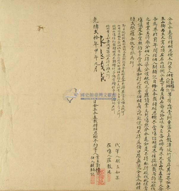 光緒二十年鄭穆記與佃人胡輔記約定栽種相思樹木所立契約藏品圖，第1張