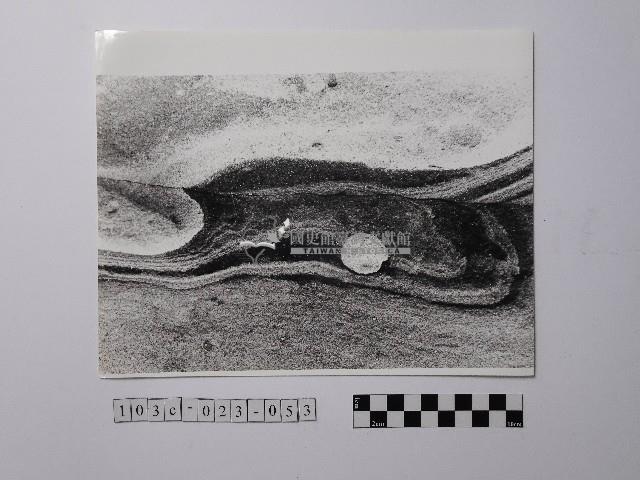 黃則修攝野柳地景風化紋藏品圖，第1張