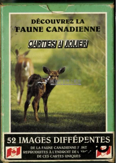 發現加拿大的野生動物英文字樣撲克牌藏品圖，第1張